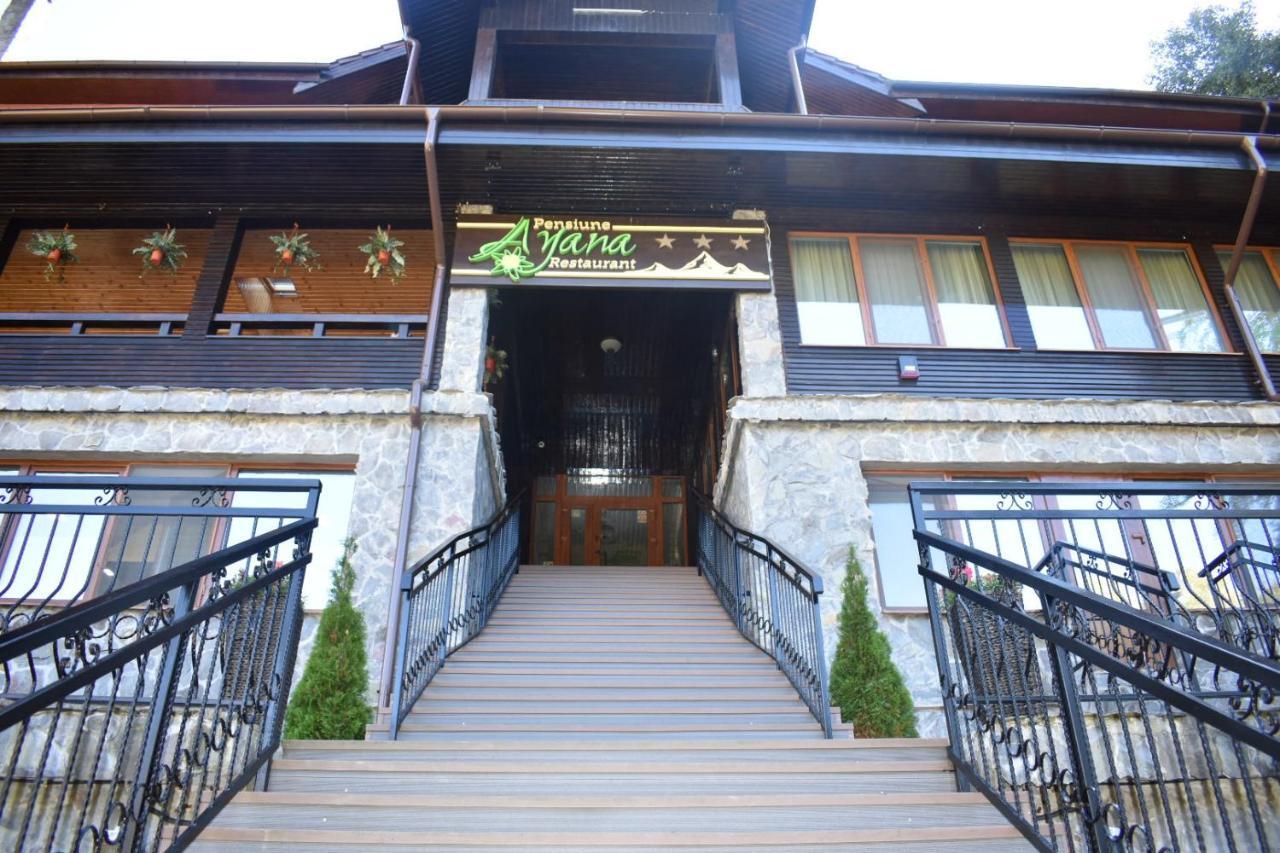 Pensiunea Ayana Petroşani Exterior foto